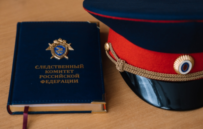Бастрыкин взял на контроль дело о нападении собак на жительницу Пятигорска