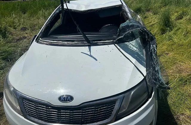 Два человека погибли при опрокидывании иномарки в Левокумском округе