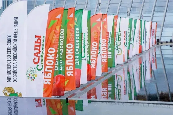 На Ставрополье с 9 по 11 июня пройдёт Международная выставка «PRO ЯБЛОКО 2026»