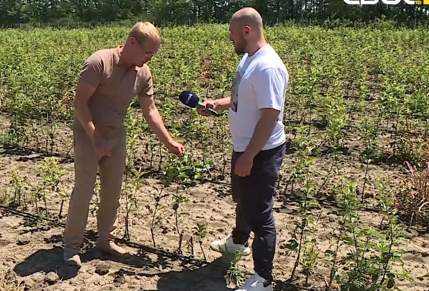 Садовод рассказал о спасении деревьев после дождей в Георгиевском округе