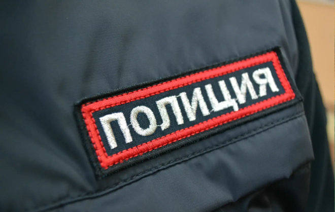 В Ставрополе полицейские нашли похитителя саженцев с городских клумб
