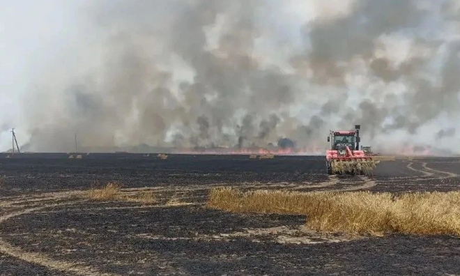 Пожарные на Ставрополье спасли 20 га пшеницы от огня