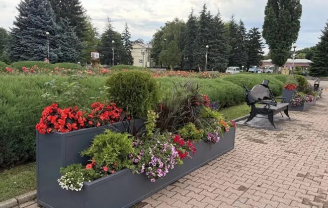 Летом Ставрополь украсили 20 тысячами цветов