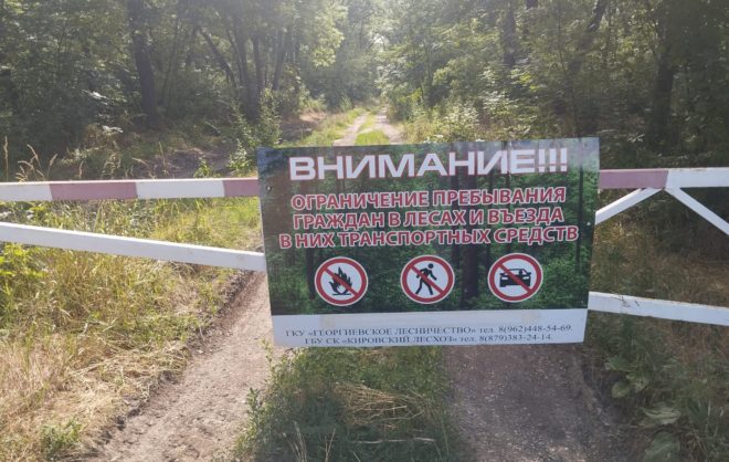 На Ставрополье до 9 августа продлили ограничения на посещение лесов